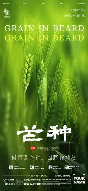 芒种节气海报