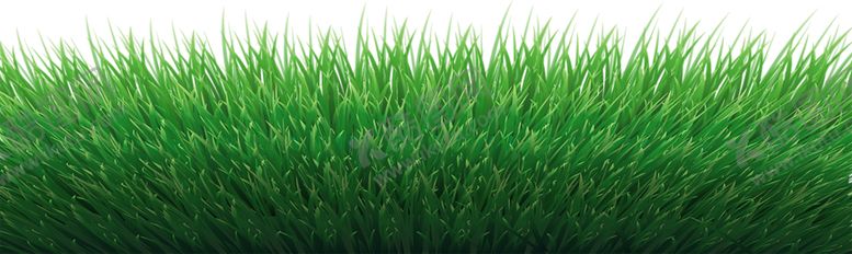 编号：90294309120219248595【酷图网】源文件下载-花边素材