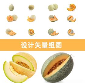 哈密瓜矢量书法字