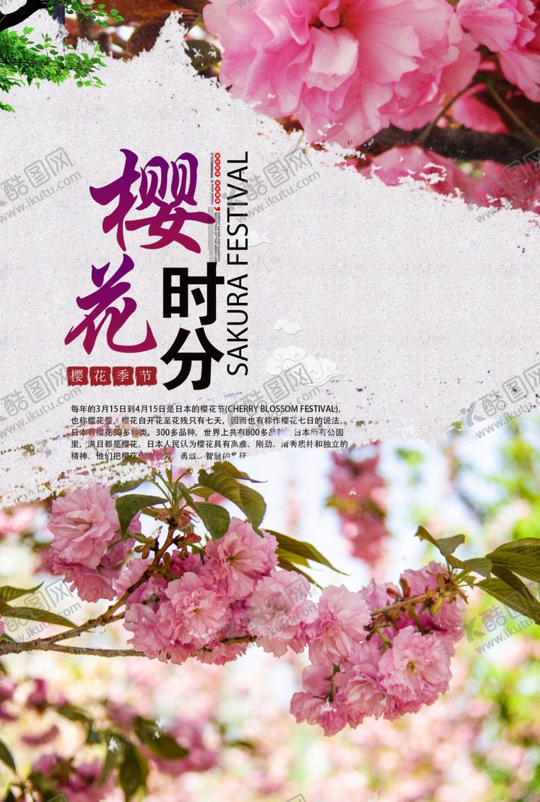 编号：86944709202202179141【酷图网】源文件下载-樱花节