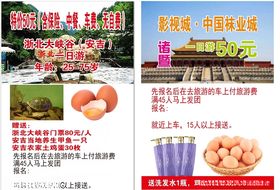 旅游传单