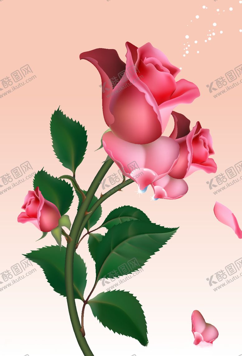 编号：82674105031938517048【酷图网】源文件下载-玫瑰花