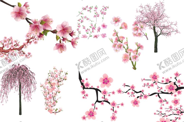 编号：92310310040422221744【酷图网】源文件下载-樱花素材
