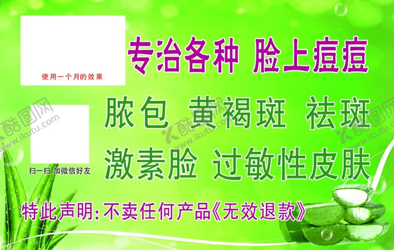 编号：18323809290313275547【酷图网】源文件下载-芦荟