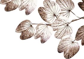 中式插画png素材
