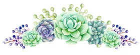创意花
