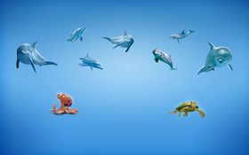 海豚