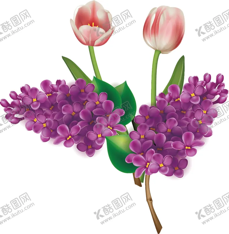 编号：76777006271443108138【酷图网】源文件下载-鲜花素材