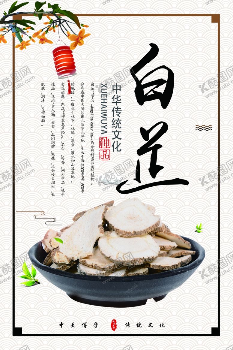 编号：80140605060226071022【酷图网】源文件下载-白芷