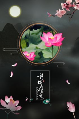 荷花