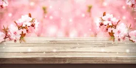 手绘樱花