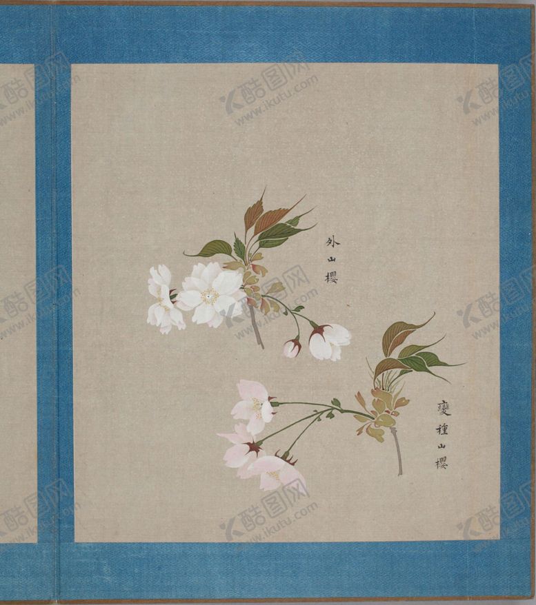 编号：30009503292101499691【酷图网】源文件下载-樱花