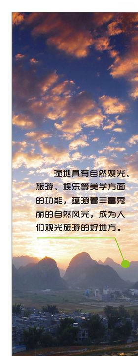 湿地插画
