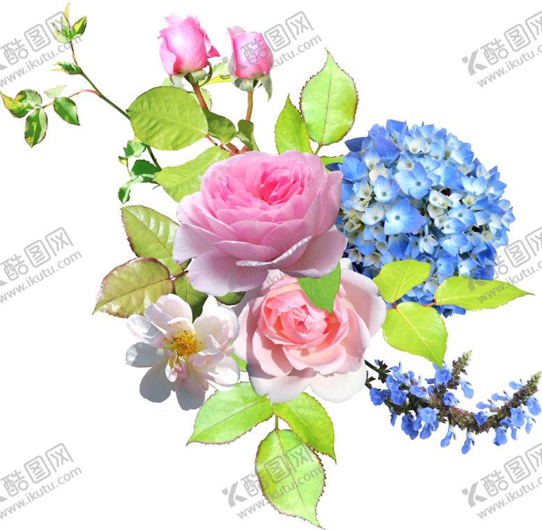 编号：18068301151051022990【酷图网】源文件下载-手绘花卉