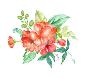 水彩植物