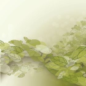春暖花开 绿色树叶背景