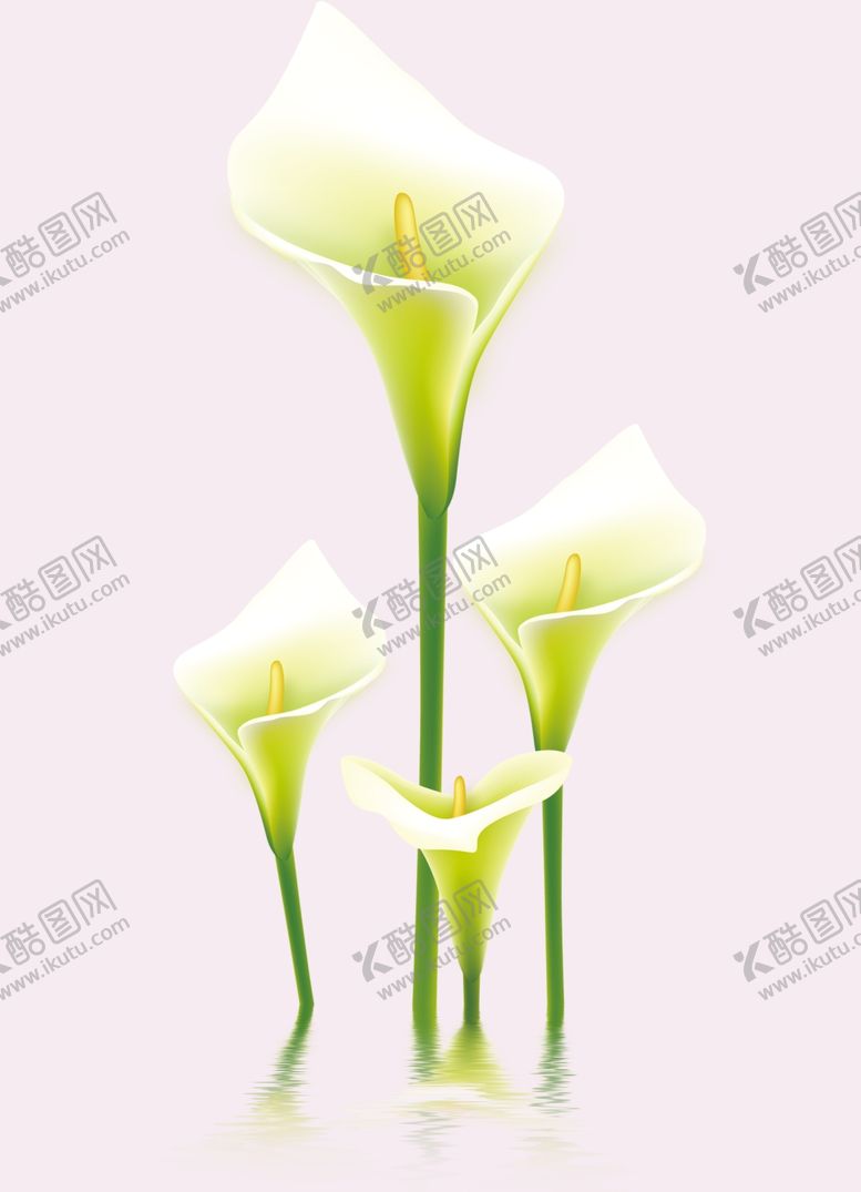 编号：98286010130037455692【酷图网】源文件下载-百合花