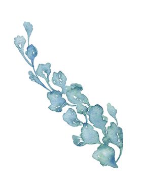 水彩手绘花卉花朵植物