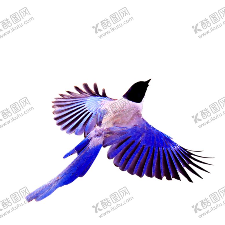 编号：47666509211927432609【酷图网】源文件下载-浪漫素材