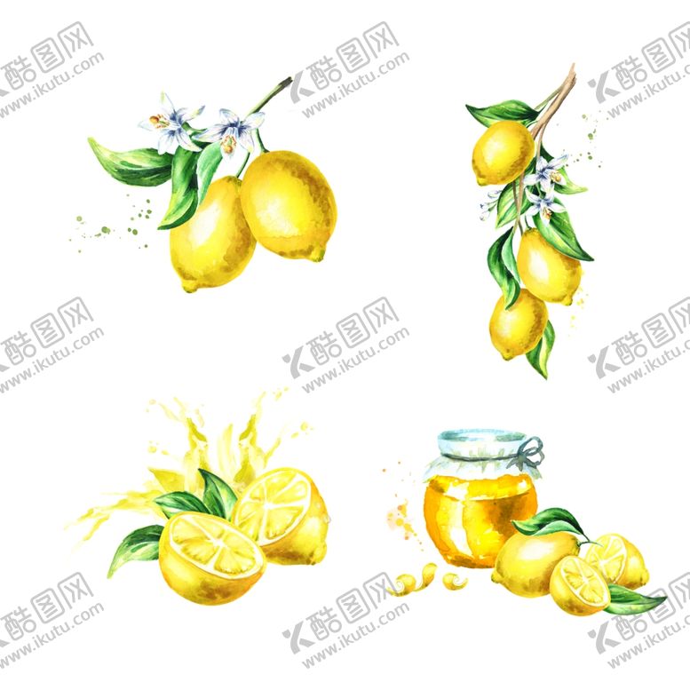 编号：77609110280311522550【酷图网】源文件下载-柠檬