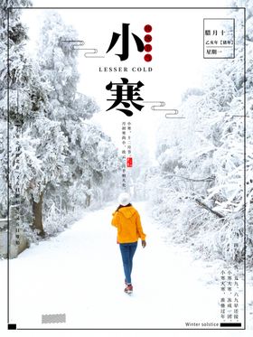 小寒唯美海报