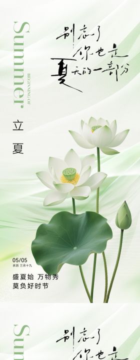 立夏节气简约海报