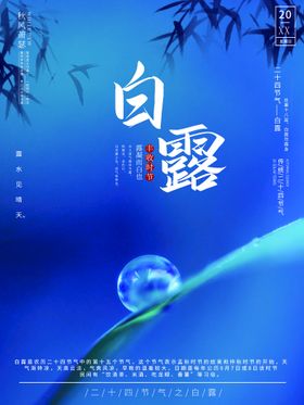 白露活动展架微信