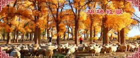 胡杨林