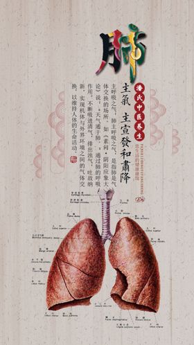 养生健康海报宣传单茶艺药草之道