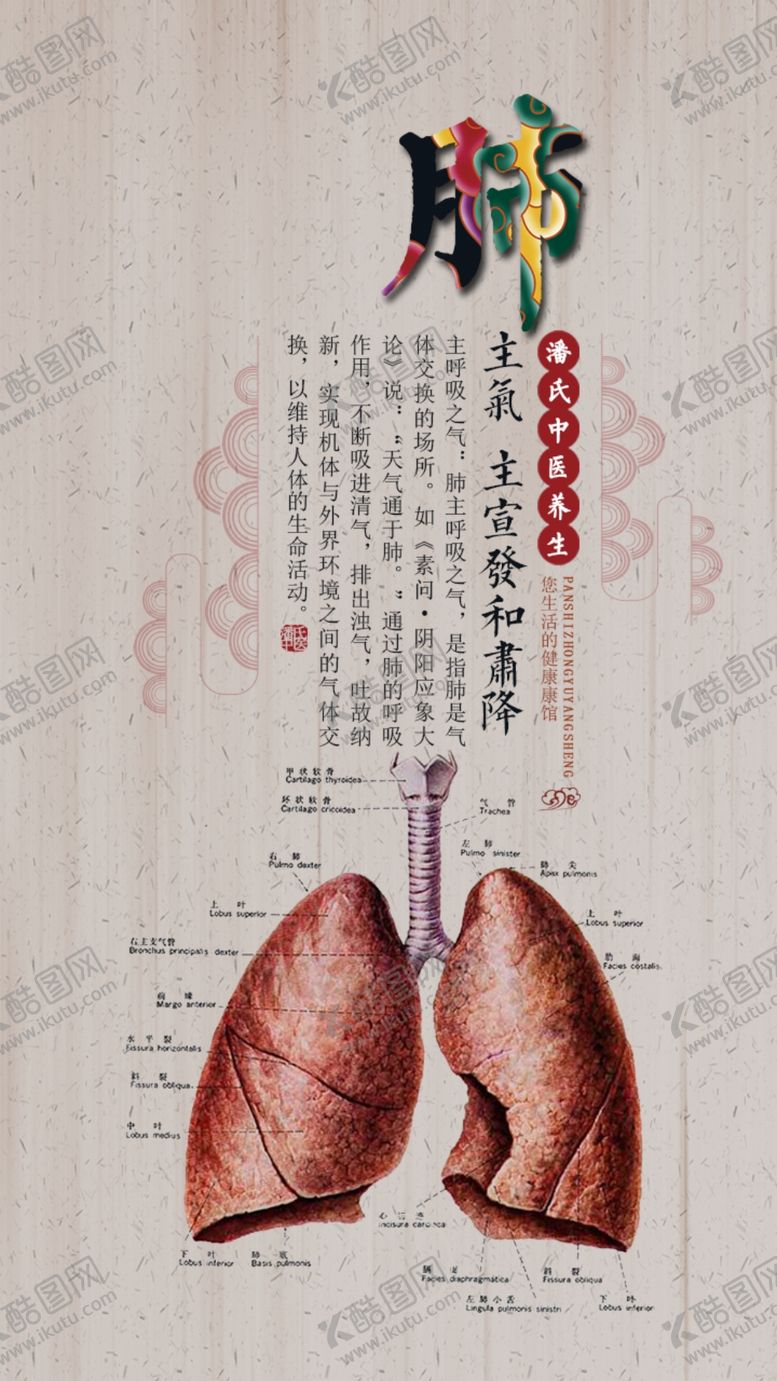 编号：62182306181453504584【酷图网】源文件下载-养生健康海报