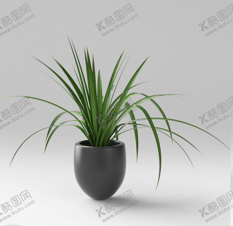 编号：29674703122049591769【酷图网】源文件下载-C4D模型盆栽绿色植物兰花插花