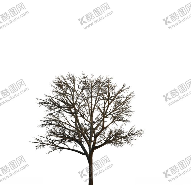 编号：99023210100859391397【酷图网】源文件下载-树木