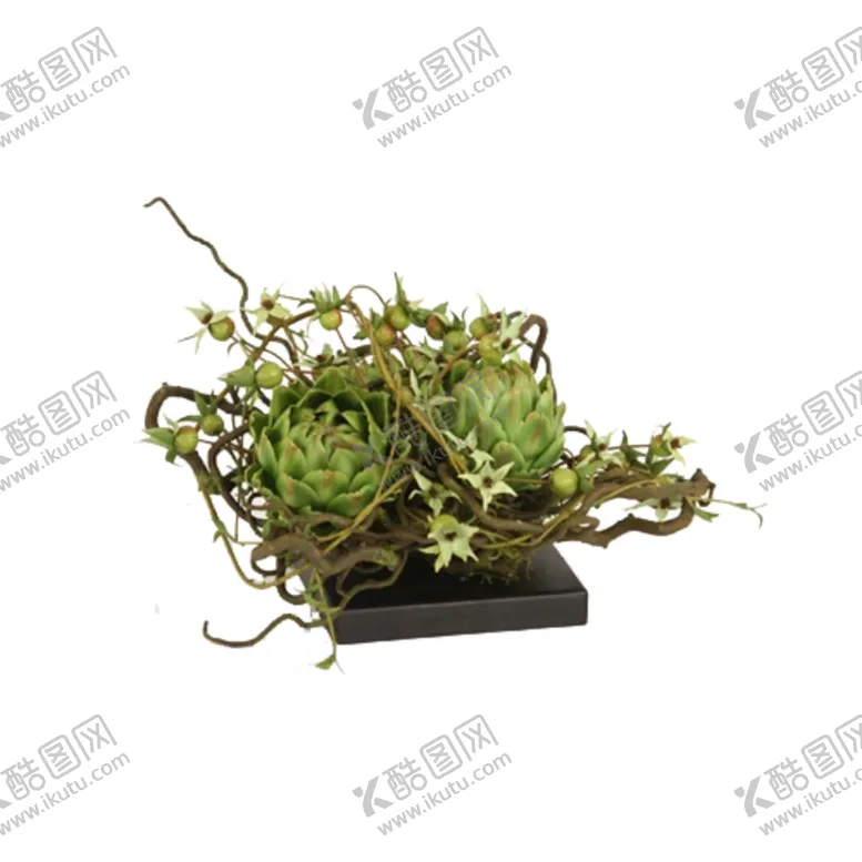编号：81529306190221467354【酷图网】源文件下载-免抠背景花草树木