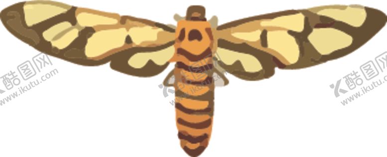 编号：29084310090631114381【酷图网】源文件下载-飞蛾昆虫插画