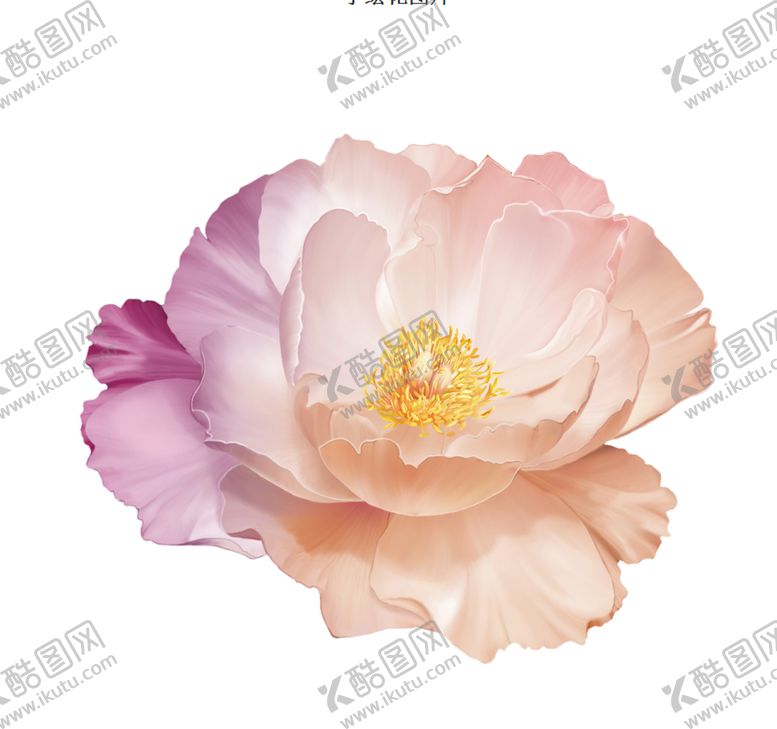 编号：75503909282142537808【酷图网】源文件下载-手绘花