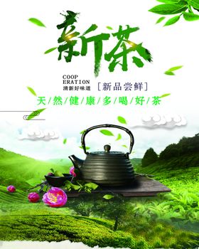 新茶茶海报茶园
