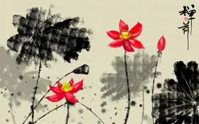 荷花莲国画国画装饰画