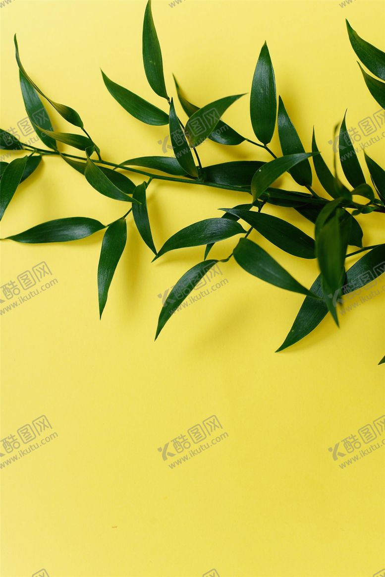 编号：53753009142025307371【酷图网】源文件下载-竹叶竹枝