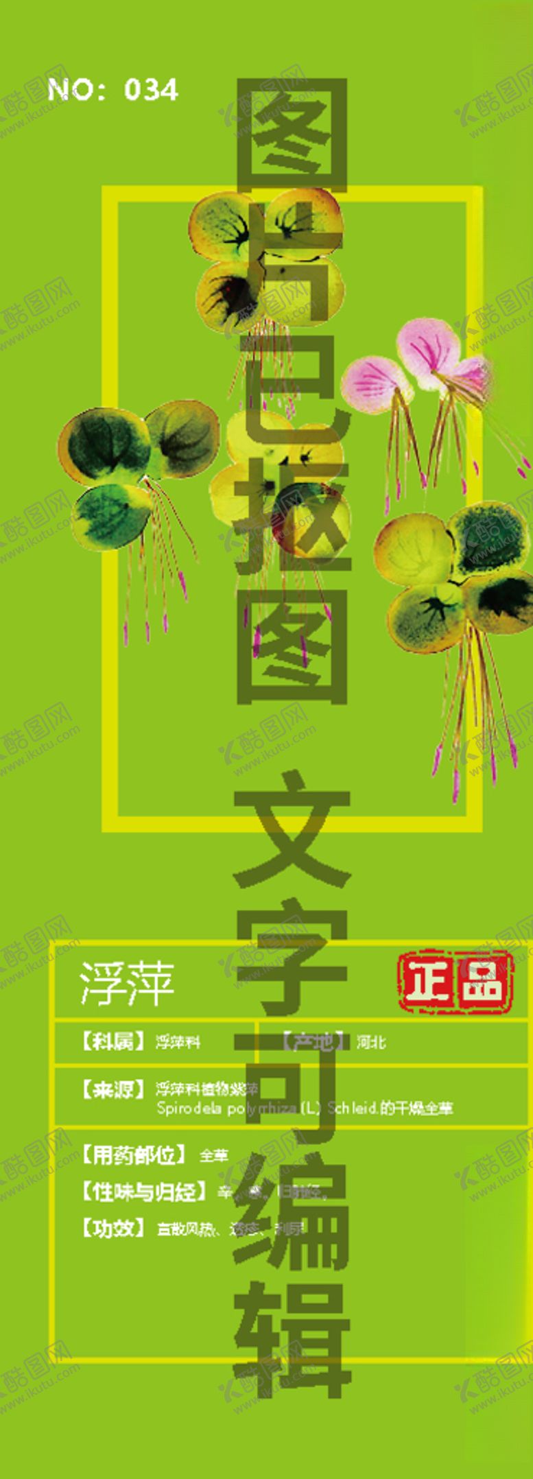编号：56491305061938042619【酷图网】源文件下载-浮萍