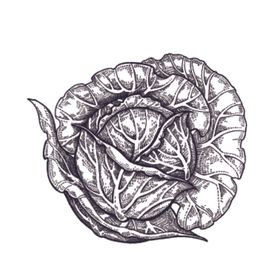餐饮食物插画元素