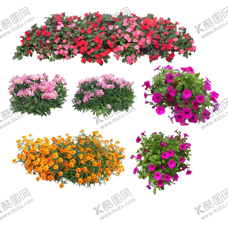 编号：95804209220007486703【酷图网】源文件下载-景观 花 植物