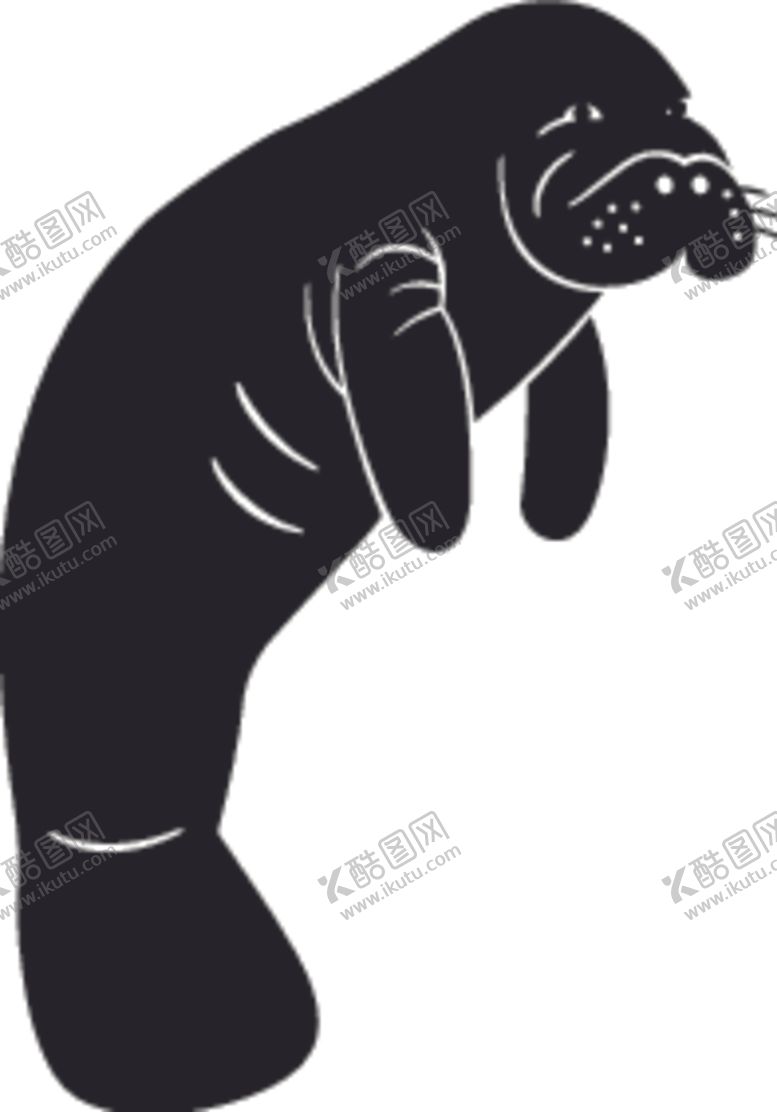 编号：98163109270126299713【酷图网】源文件下载-海洋生物系列海豹