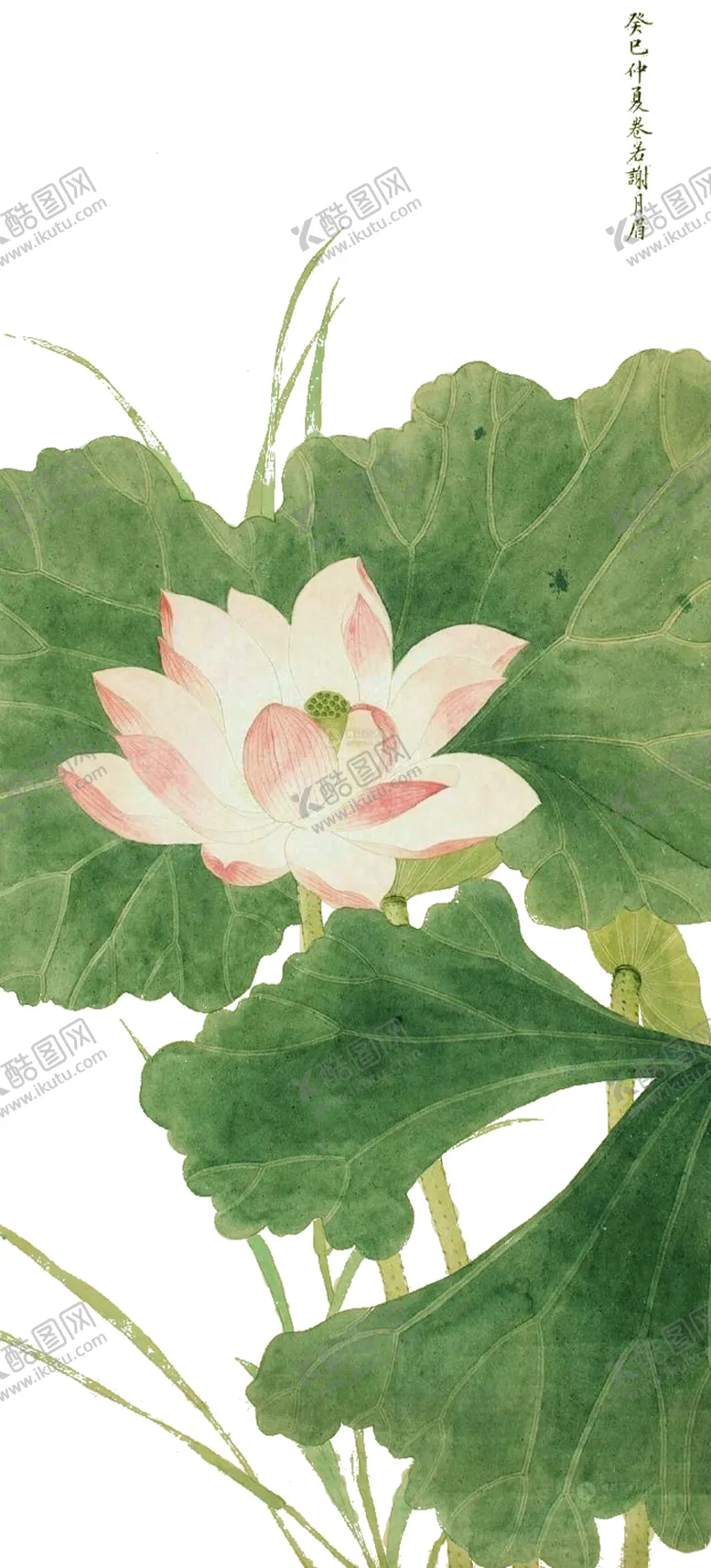编号：75041509140340546379【酷图网】源文件下载-中国风荷叶荷花绘画