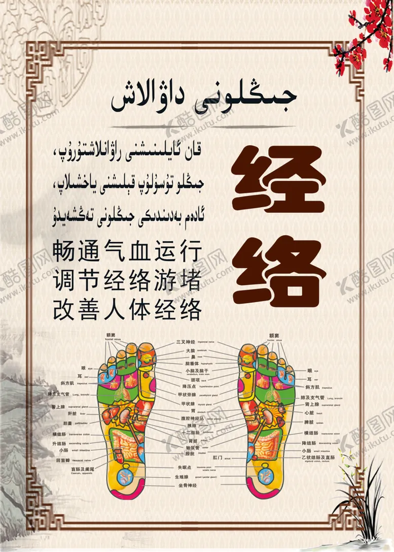 编号：15473209172239541832【酷图网】源文件下载-经络 中医