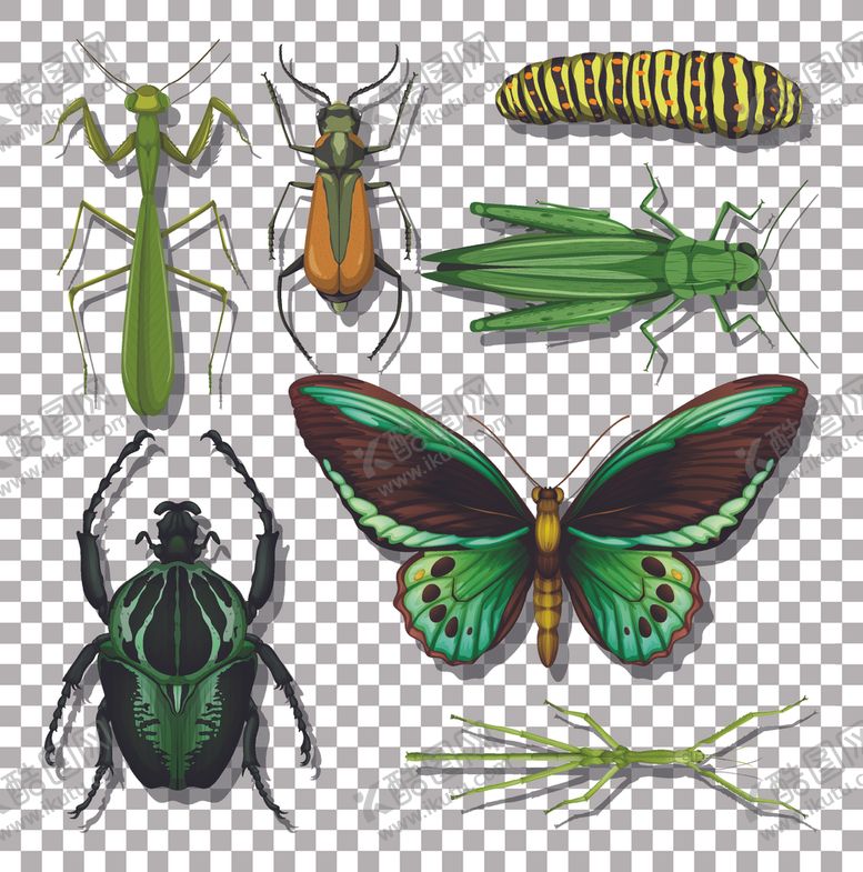 编号：91525405040452359761【酷图网】源文件下载-卡通昆虫