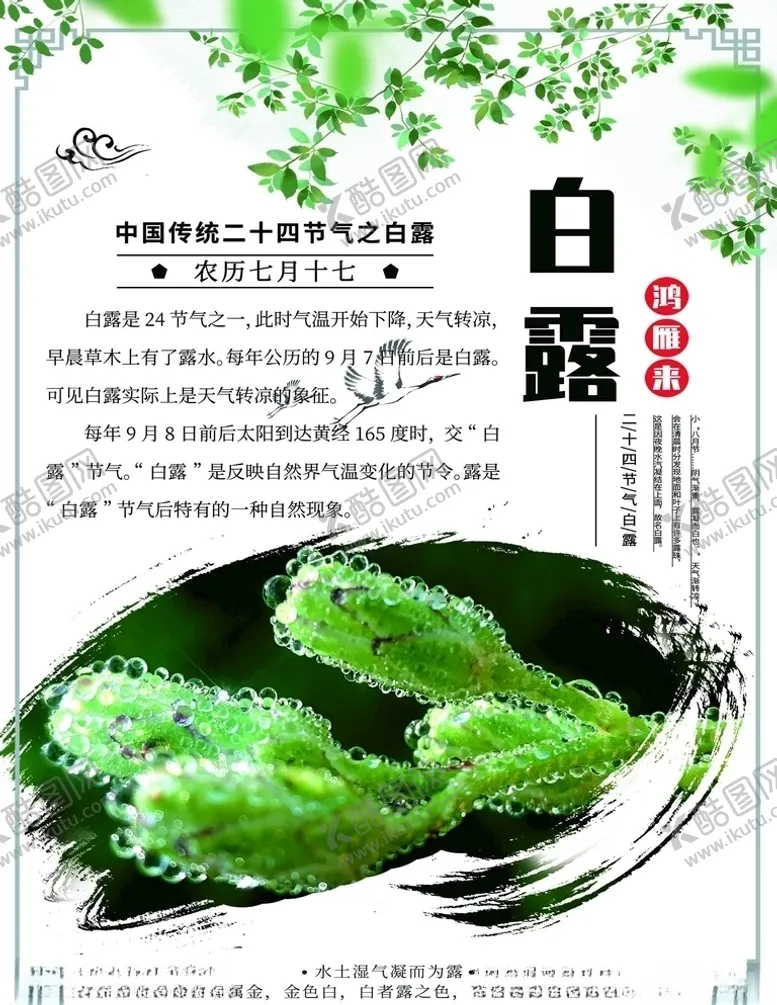 编号：34044105142258176019【酷图网】源文件下载-白露