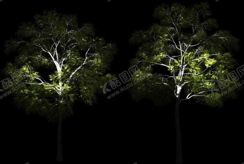 编号：69219710070316416445【酷图网】源文件下载-夜景树