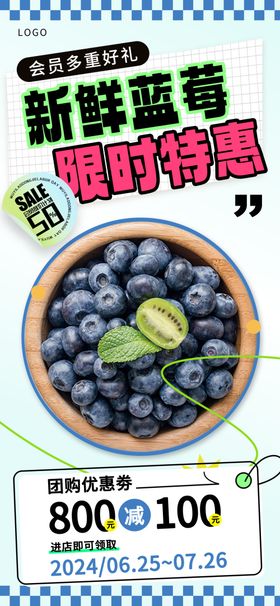 新鲜蓝莓特惠促销