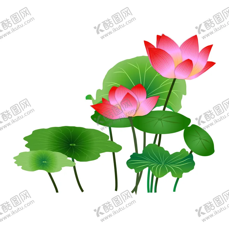 编号：30781905031309566112【酷图网】源文件下载-荷花元素