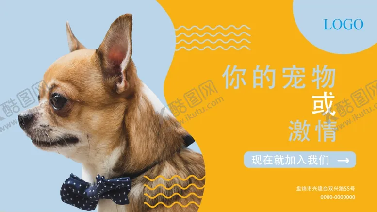 编号：86963307012128281865【酷图网】源文件下载-宠物商店图片